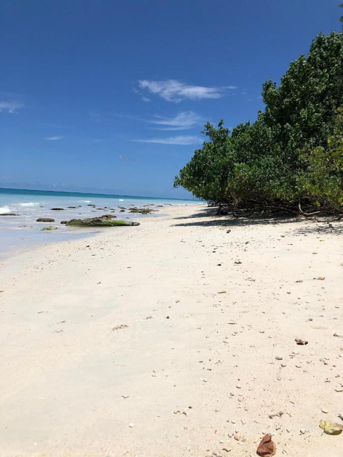 فندق Tilar Siro Andamans - A Cgh Earth Experience Govind Nagar المظهر الخارجي الصورة