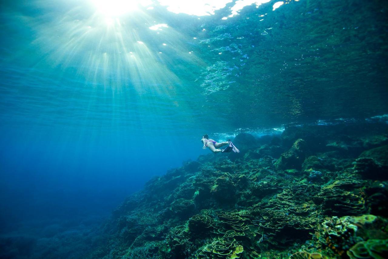 فندق Tilar Siro Andamans - A Cgh Earth Experience Govind Nagar المظهر الخارجي الصورة