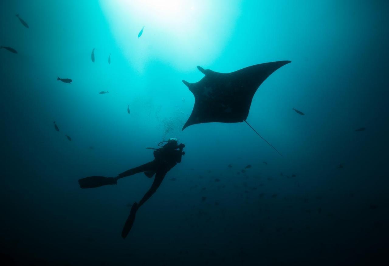 فندق Tilar Siro Andamans - A Cgh Earth Experience Govind Nagar المظهر الخارجي الصورة
